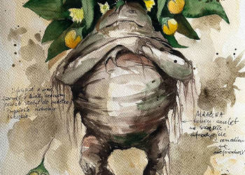"Mandragora z opisem 2" akwarela - magiczna roślina