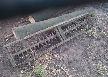 Kolczatka 2 metry
