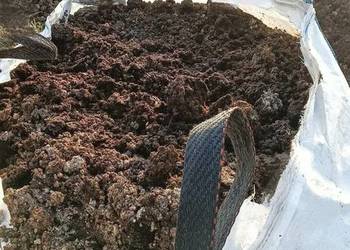 Kurzak - obornik kurzy, czysty, bez podkładu | BigBagi 600kg | Worki