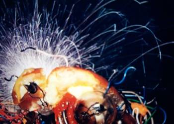 Archiwum Prog Rocka ELECTRIC SANDWICH- Electric Sandwich. 1971.