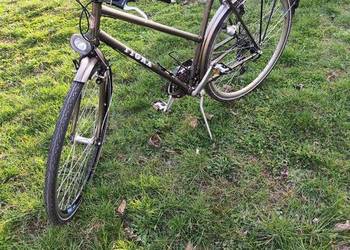 Rower damka Tigra