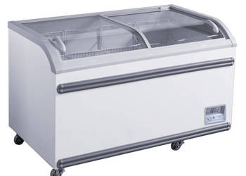 Profesjonalna Zamrażarka Przeszklona 700L 2040x765x875mm WD700Y