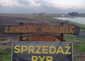 Sprzedam ryby Karp Amur Tołpyga Szczupak Gospodarstwo rybackie Hubinek l
