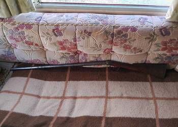 Karabin czarnoprochowy iglicowy