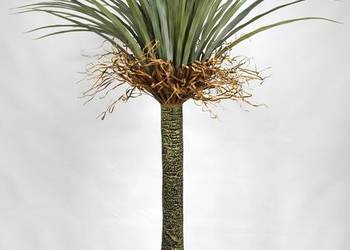 Sztuczna Yucca bardzo realistyczny wygląd 140cm