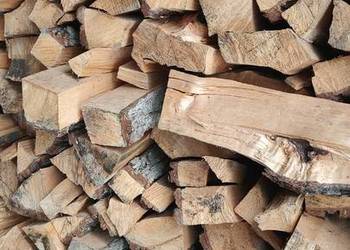 Drewno opałowe olchowe