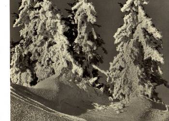 POCZTÓWKA OKOLICZNOŚCIOWA ŚWIĘTA CZARNO BIAŁA