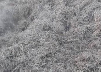 Suchy tmr dla cieląt