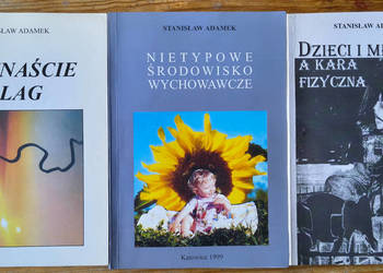 Dzieci a kara fizyczna piętnaście plag nietypowe Adamek 1999