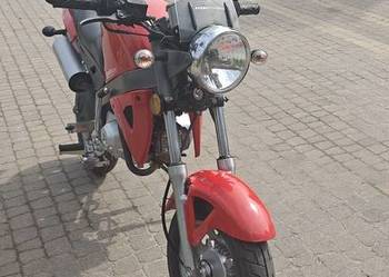 Badboy cx-50 keen motors jak honda monkey pół automat 4 biegowy motorynka