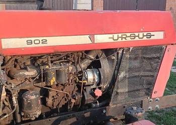Ursus 385