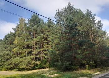 Syndyk sprzeda udziały w grunatach Jastkowice - Stalowa Wola