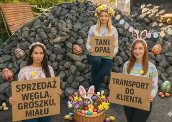 Koks, Węgiel Kostka, Orzech, Groszek, Miał, Brykiet - Luz/Worki TRANSPORT