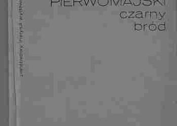 (4357) CZARNY BRÓD – LEONID PIERWOMAJSKI