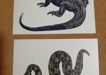 Berg Bohdan gady egzotyczne pocztówki