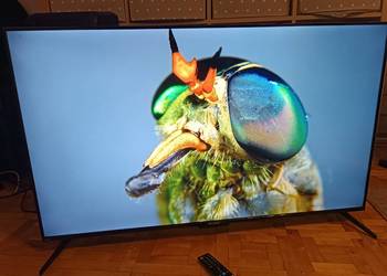 Telewizor Sharp 50DJ4E 50" LED 4K UHD Smart TV na gwarancji do 03.2026