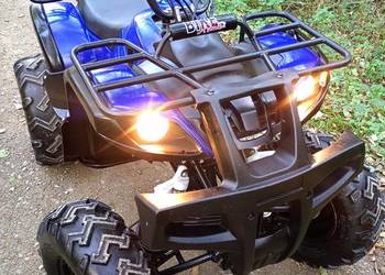Quad 250  4 +WSTECZNY