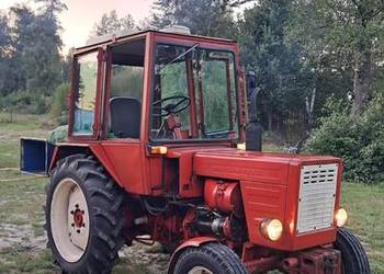 Sprzedam T25A (władimirec)