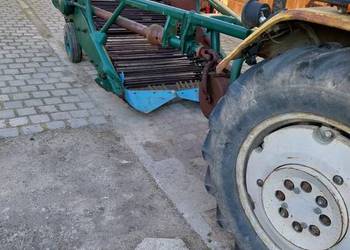 Kopaczka do ziemniaków , elewatorowe 2 rzędów