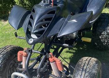 Quad Bashan 250