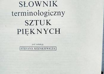 Słownik terminologiczny sztuk pięknych unikaty outlet książk