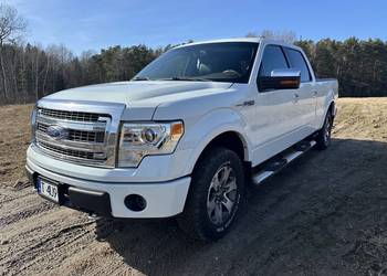 Ford F-150 PLATINUM