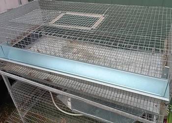 Karmidła dla przepiórek