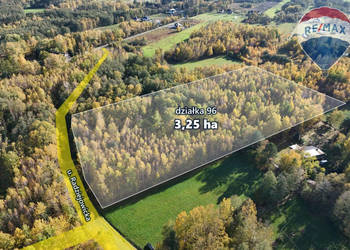 3,25ha wśród lasów, Budy Michałowskie