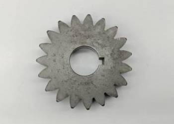 307837A1 Koło zębate Z-19 napędu pompy hydraulicznej Case IH, McCormick