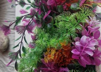 Sztuczne rośliny do akwarium