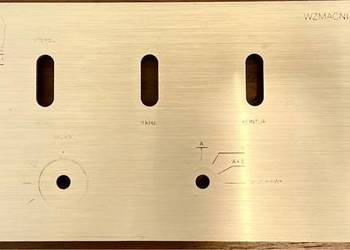 WS 303 panel przedni