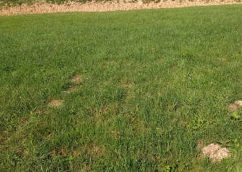 Działka budowlana z WZ 19,39 ara Rzeszów boczna Dębickiej