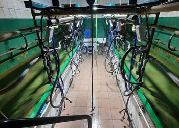 Montaż i serwis urządzeń udojowych wyposażenia obór GEA Westfalia DeLaval
