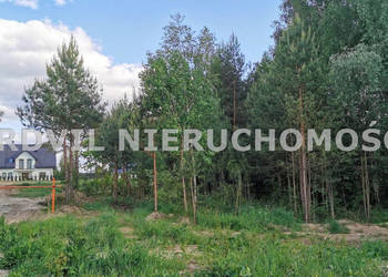 Sprzedaż gruntu 3001m2 Dobrzyniewo Duże