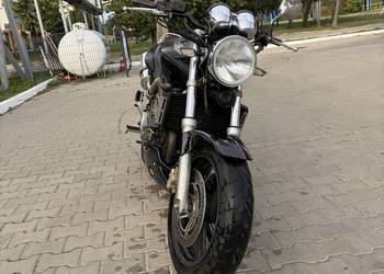 Hornet 600 kat. A2