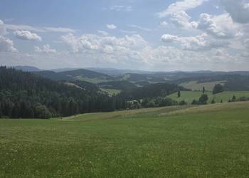 pole uprawne 6ha hrubieszów/lipice