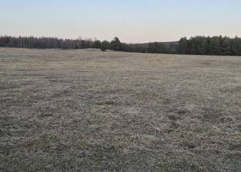 Sprzedam działkę 19950 m2 rolno budowlaną