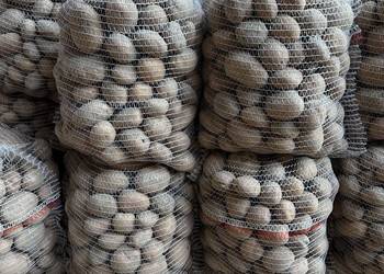 Ziemniaki Irga worki 15kg