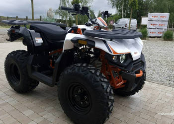 KAYO Inny SALON MOTOCYKLOWY MOTOEAGLES Kayo AU 180 Sprawdż ofertę i Serwis