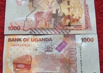 UGANDA 1000 SHILLINGS Kolekcjonerski Banknot - 1 sztuka UNC