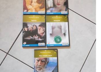 ekranizacja na wakacje kolekcja filmów dziennika  5 szt film płyta dvd ekranizacja na wakacje kolekcja filmów dziennika  5 szt film płyta dvd