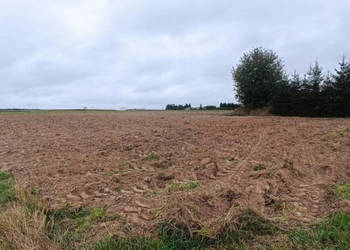 Działka Wierzchowiska Pierwsze 1502m2