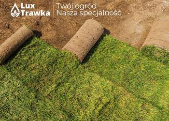 Trawa w rolce | Trawa z rolki | Dostawa na terenie całej małopolski