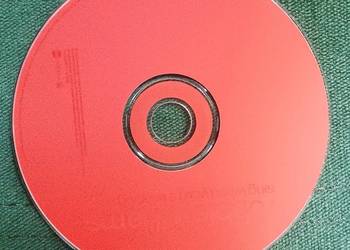 Robbie Williams Sing When You're winning tylko CD