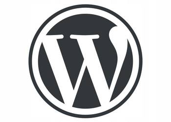 Strona internetowa WordPress Panel CMS Pozycjonowanie Google