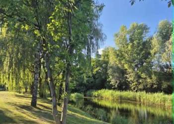 ROD Morysin Wilanów działka 300 m