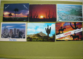 Pocztówki USA , Arizona - Phoenix - kaktusy
