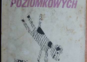 Izabela Bielińska, Ewa Otwinowska - Smak lodów poziomkowych