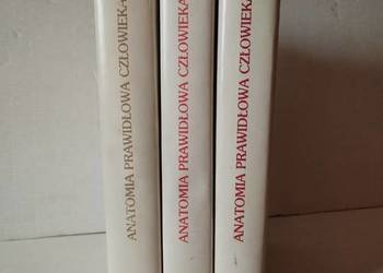 ANATOMIA  POPRAWNA  CZŁOWIEKA  tom  1-3