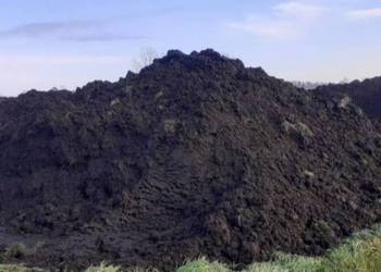 Czarną ziemia do ogródka,  pod trawnik , warzywa itd